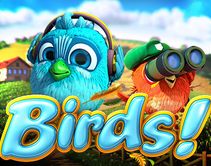 Birds Birds