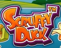Scruffy Duck Scruffy Duck