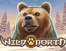 Wild North Wild North